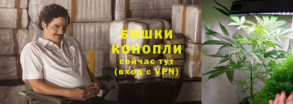 стаф Абдулино