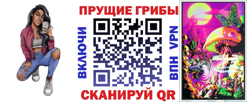 Псилоцибиновые грибы Psilocybe  Электроугли 